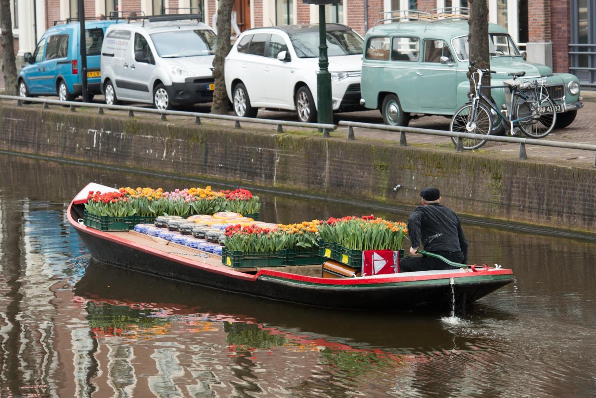 Villa View Alkmaar Dış mekan fotoğraf